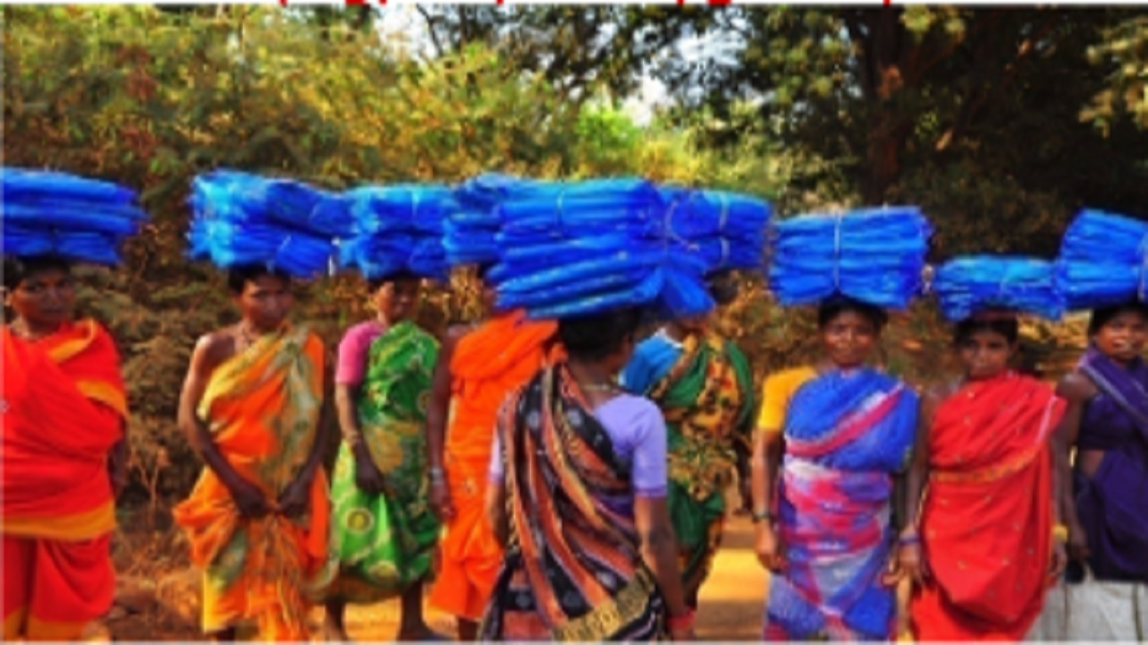 Long Lasting Insecticidal Nets (LLIN) Distribution in Tribal areas with Multisectoral Approach, Health & Family Welfare Department, Government of Odisha