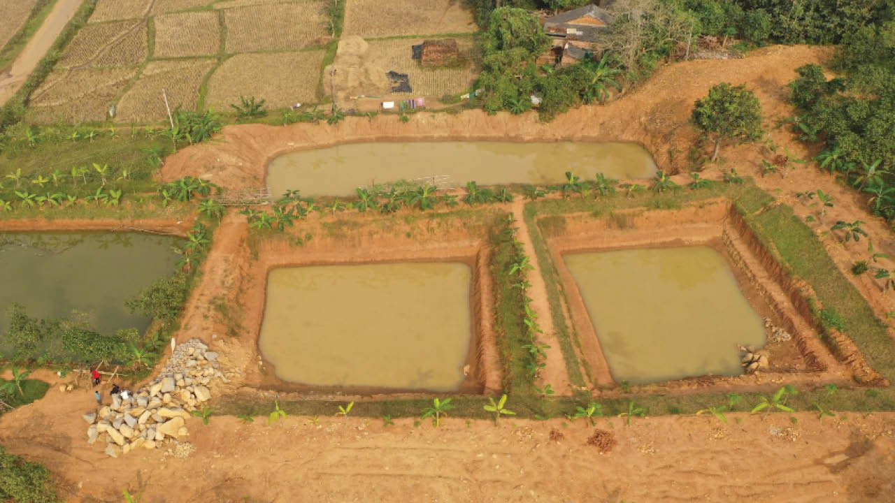 Livelihood strengthening of a Rural Tribal Farmer, Soil Conservation and Watershed Department, Government of Odisha