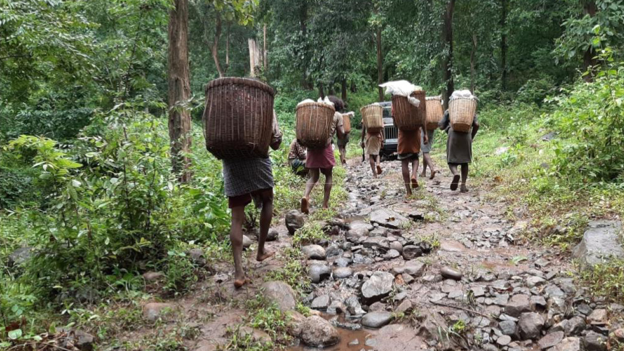 Development of Adivasis by Kudumbashree District Mission, Malappuram, Government of Kerala