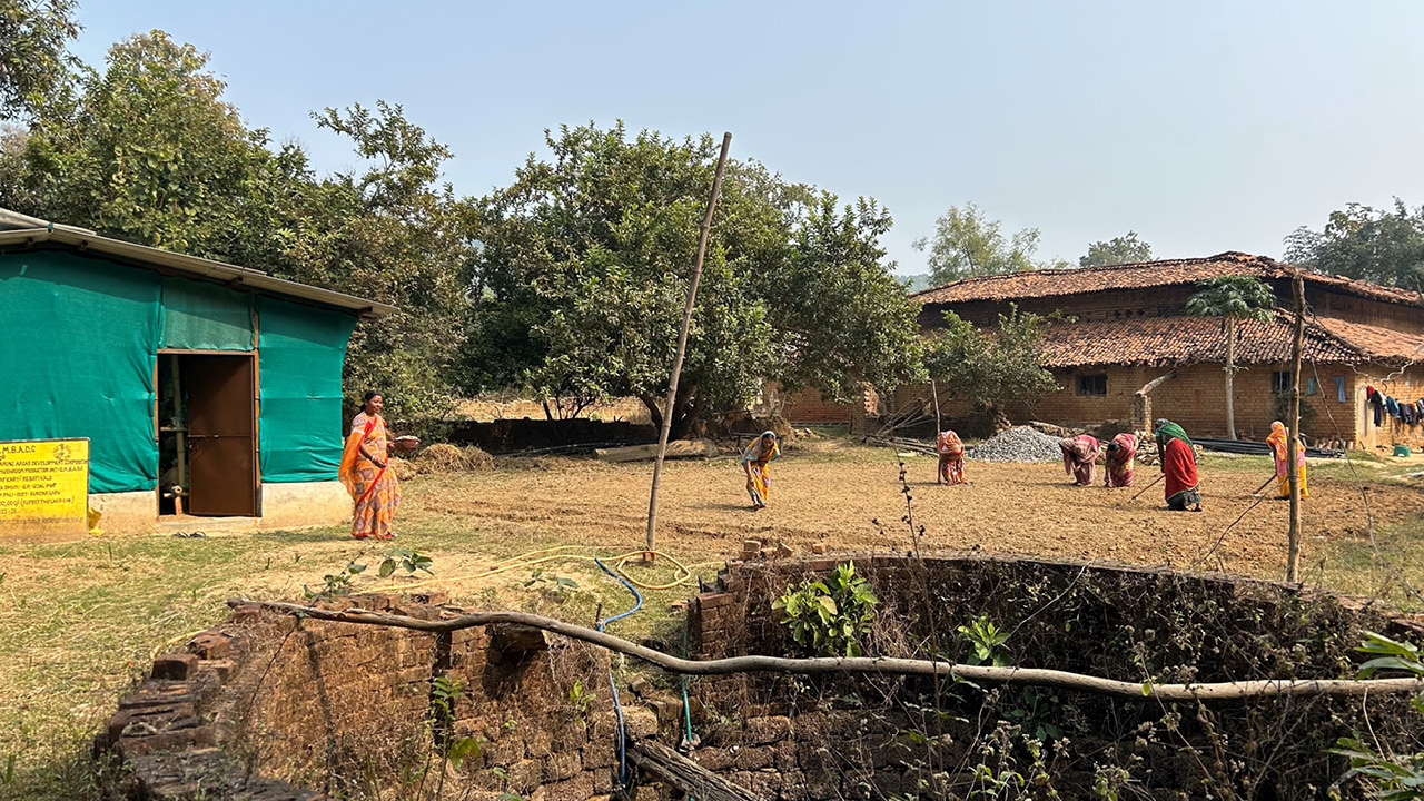 Mushroom Led Livelihood, Sundargarh, Odisha Mineral Bearing Areas Development Corporation (OMBADC), Odisha