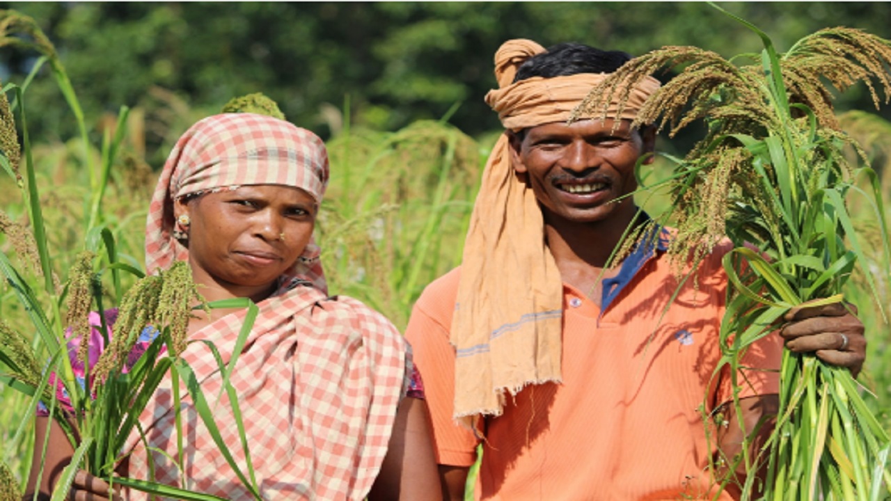 Promotion of Millets in Tribal Areas of Balangir District, Government of Odisha